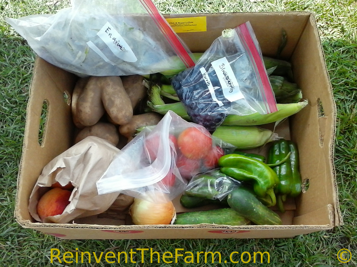 Fruits and Vegetables in a summer CSA basket