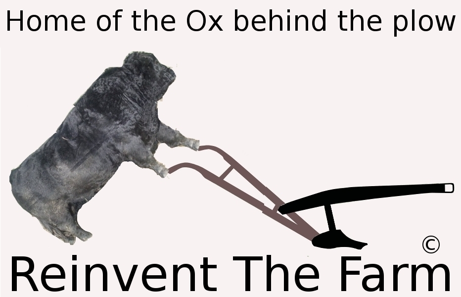 Reinvent The Farm Home of the Ox behind the plow